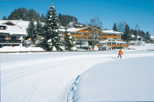 Lumi- ja hiihtourheilulajit