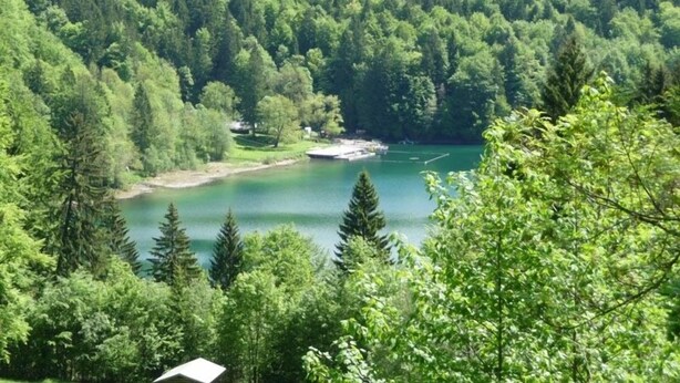 A serene lake surrounded by dense forest and mountains. - Sonnenbichl Hotel am Rotfischbach (Fischen im Allgaeu)