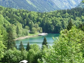 Ein friedlicher See, umgeben von dichtem Wald und Bergen.