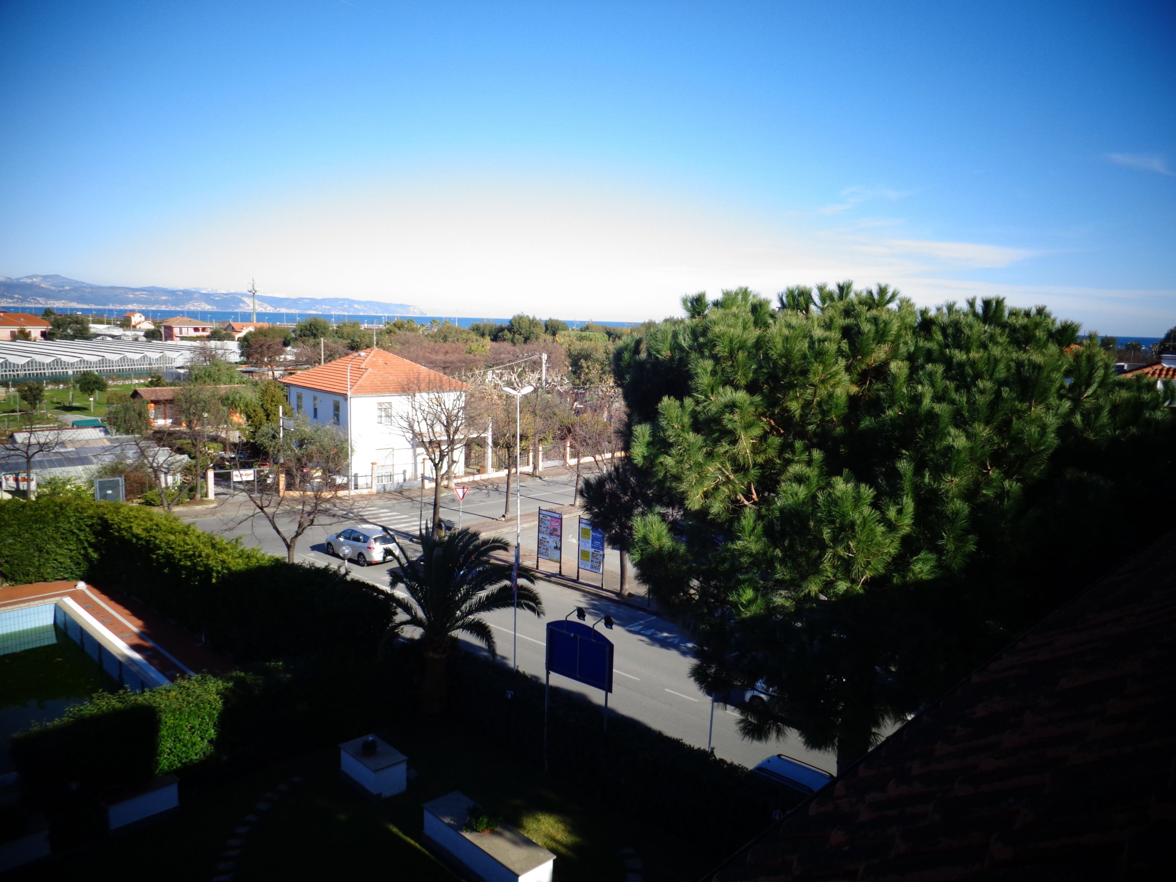 Un quartiere residenziale con un edificio bianco, una strada e un albero grande.