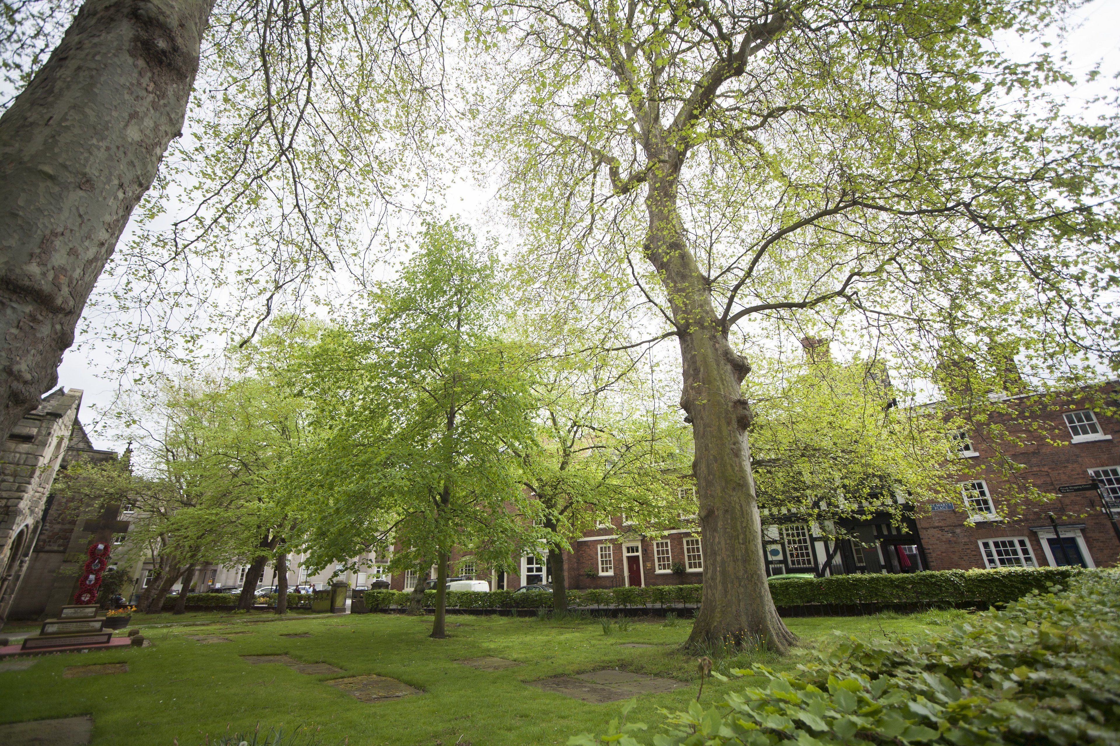 A courtyard with mature trees, a brick building, and a stone wall.
