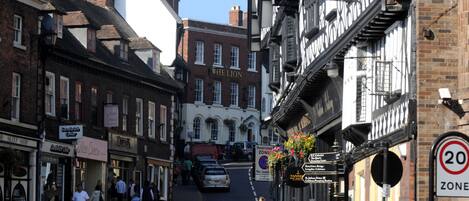 A street scene with a mix of commercial buildings, including a shop with a sign that reads "The Lion".