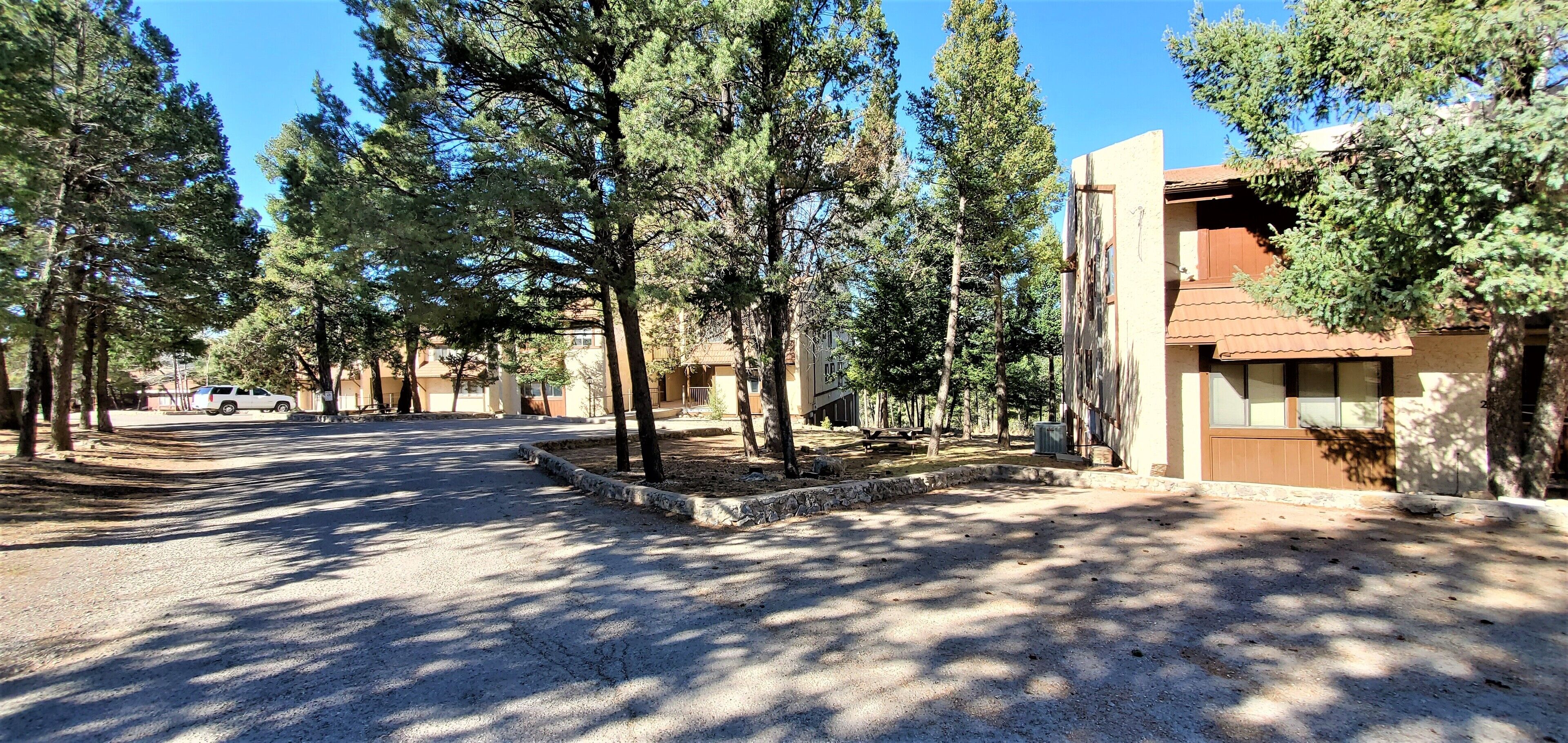 Une rue résidentielle bordée de grands pins et un immeuble moderne doté d’un toit en tuiles.