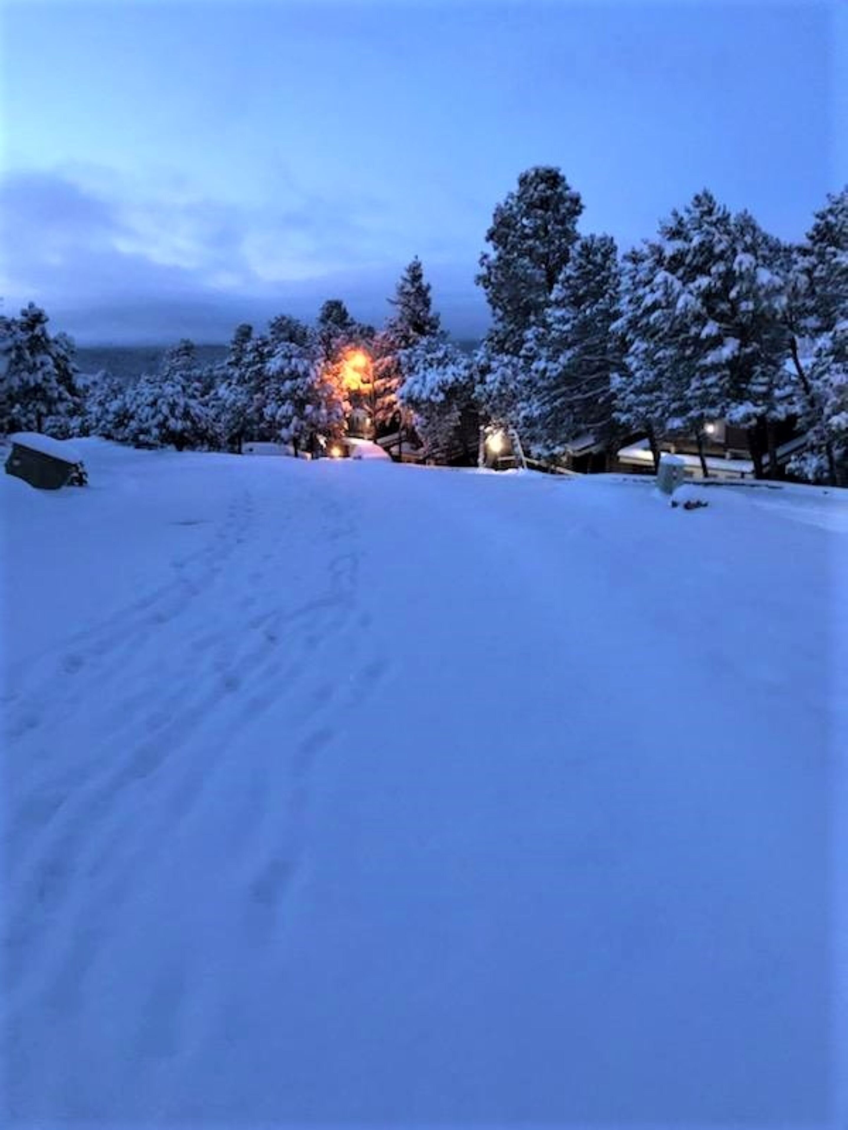 A snowy landscape with a building in the background.