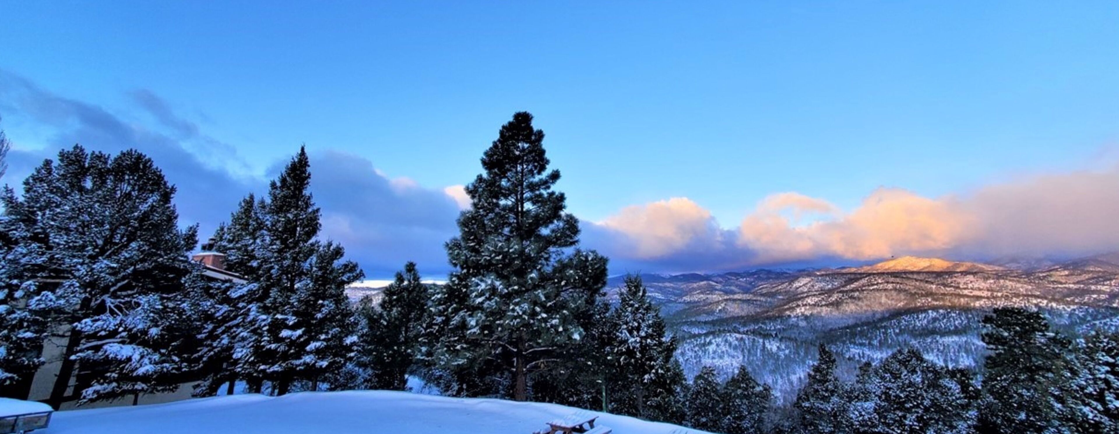 A snowy landscape with tall evergreen trees and a view of distant mountains under a clear sky.