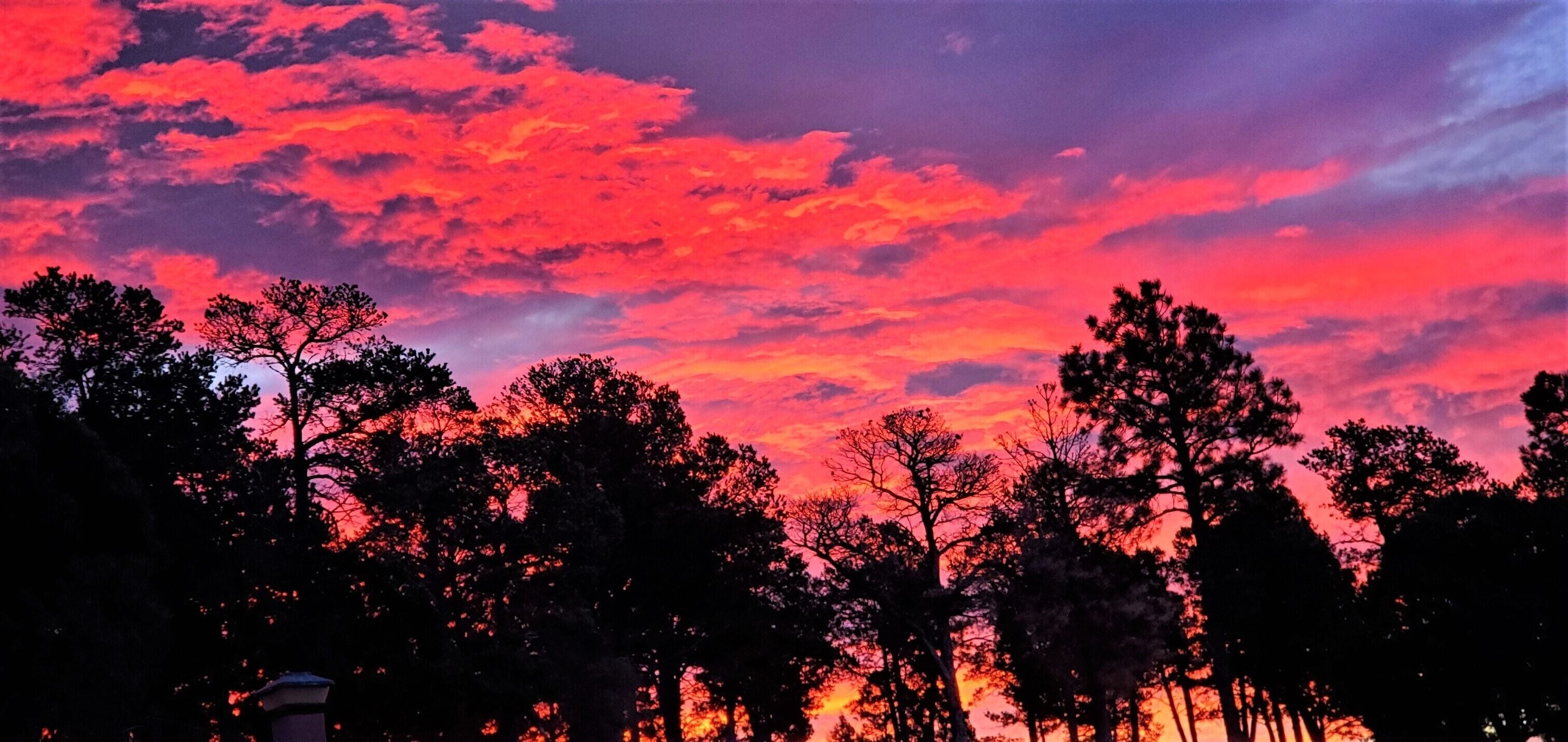 A sunset with a sky filled with pink and purple clouds, silhouetted trees, and a building in the foreground.