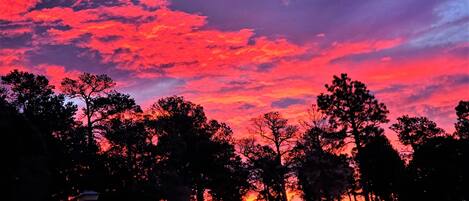 A sunset with a sky filled with pink and purple clouds, silhouetted trees, and a building in the foreground.