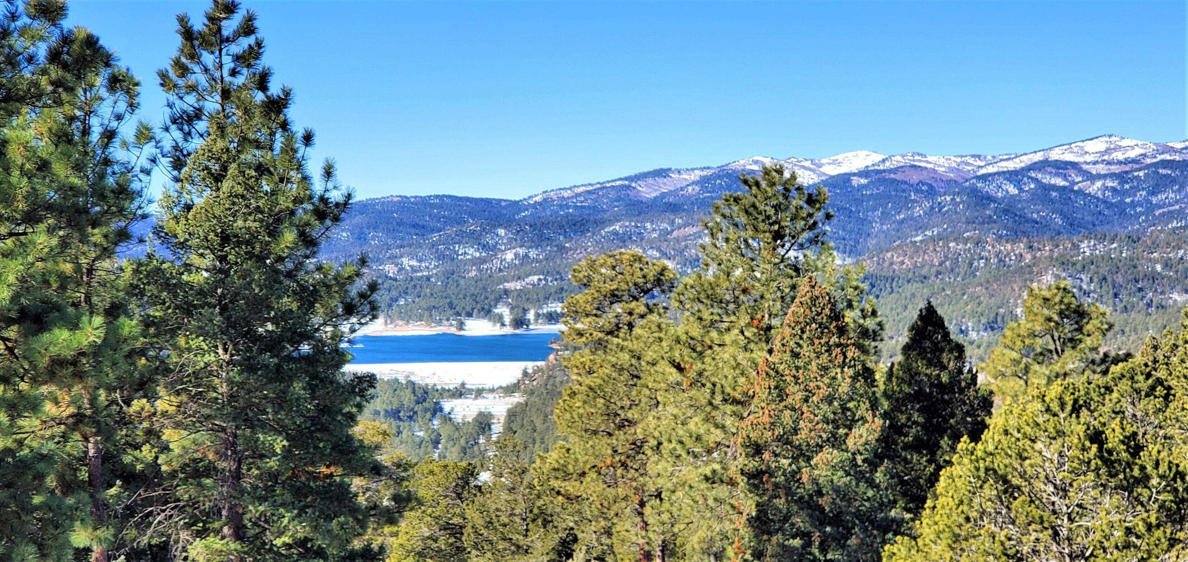 Un paysage montagneux avec un lac et une forêt dense.