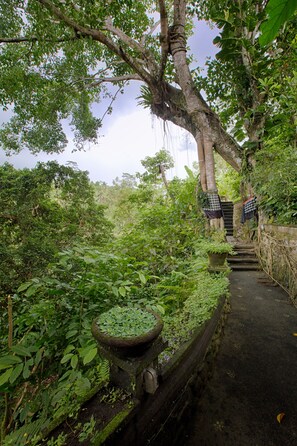 Garden - Villa Awang Awang (Ubud)