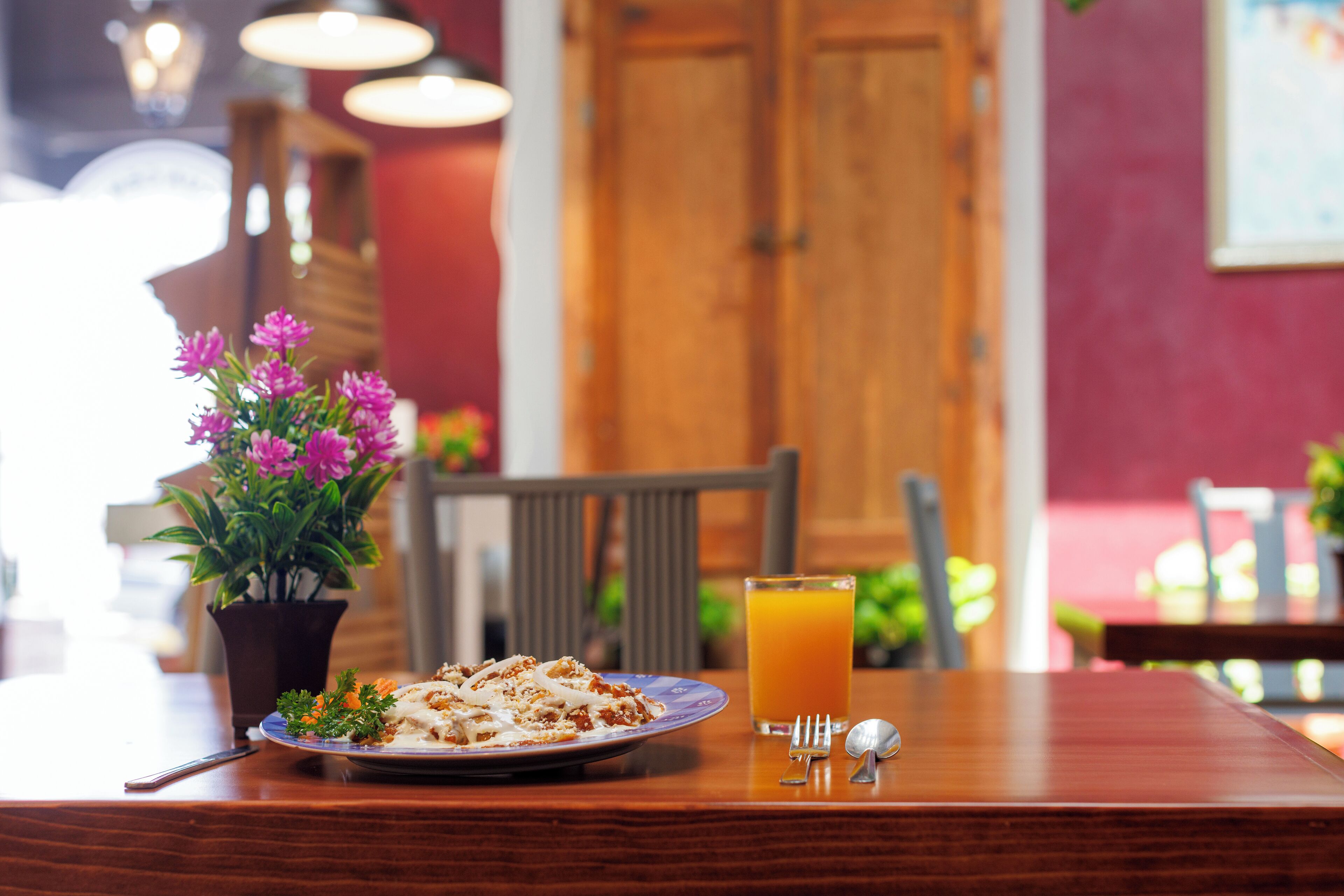 Foto - Hotel Qualitel Plus