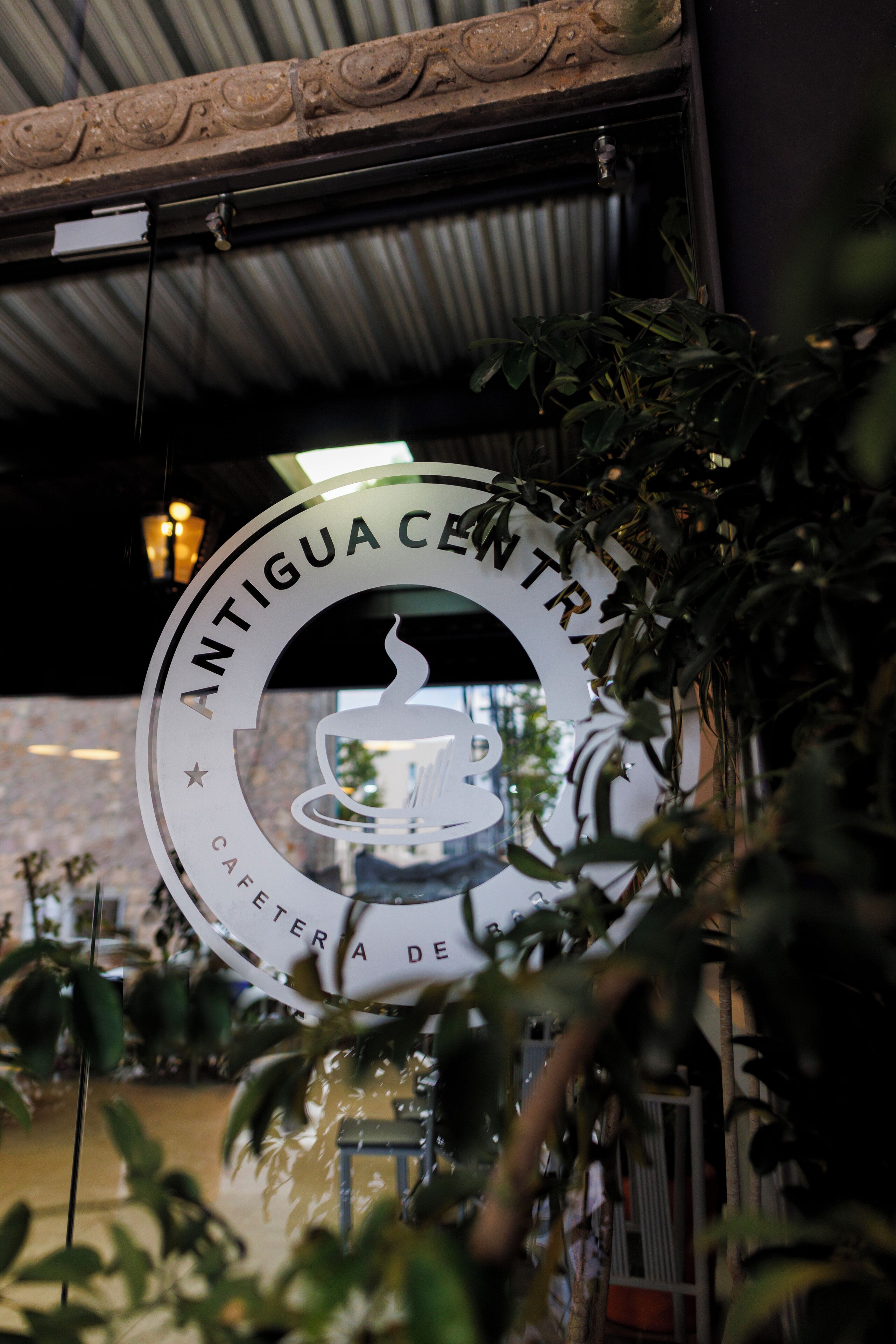 Foto - Hotel Qualitel Plus