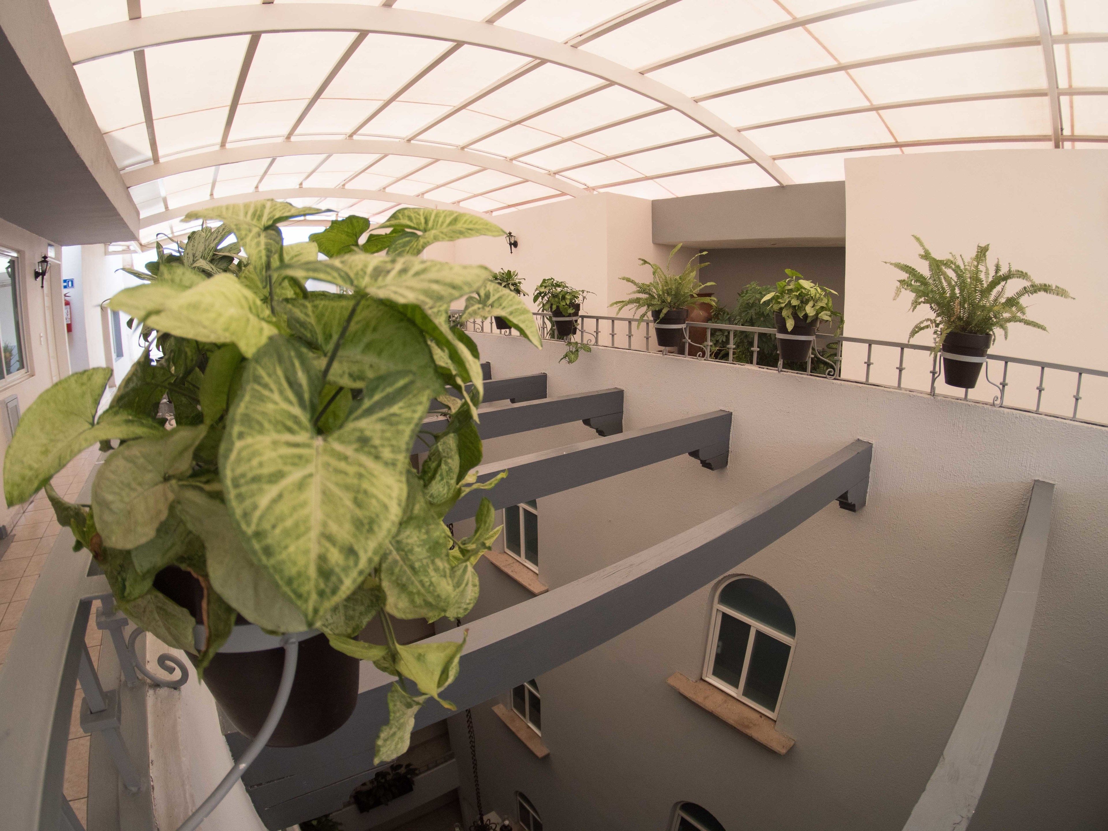 Foto - Hotel Qualitel Plus