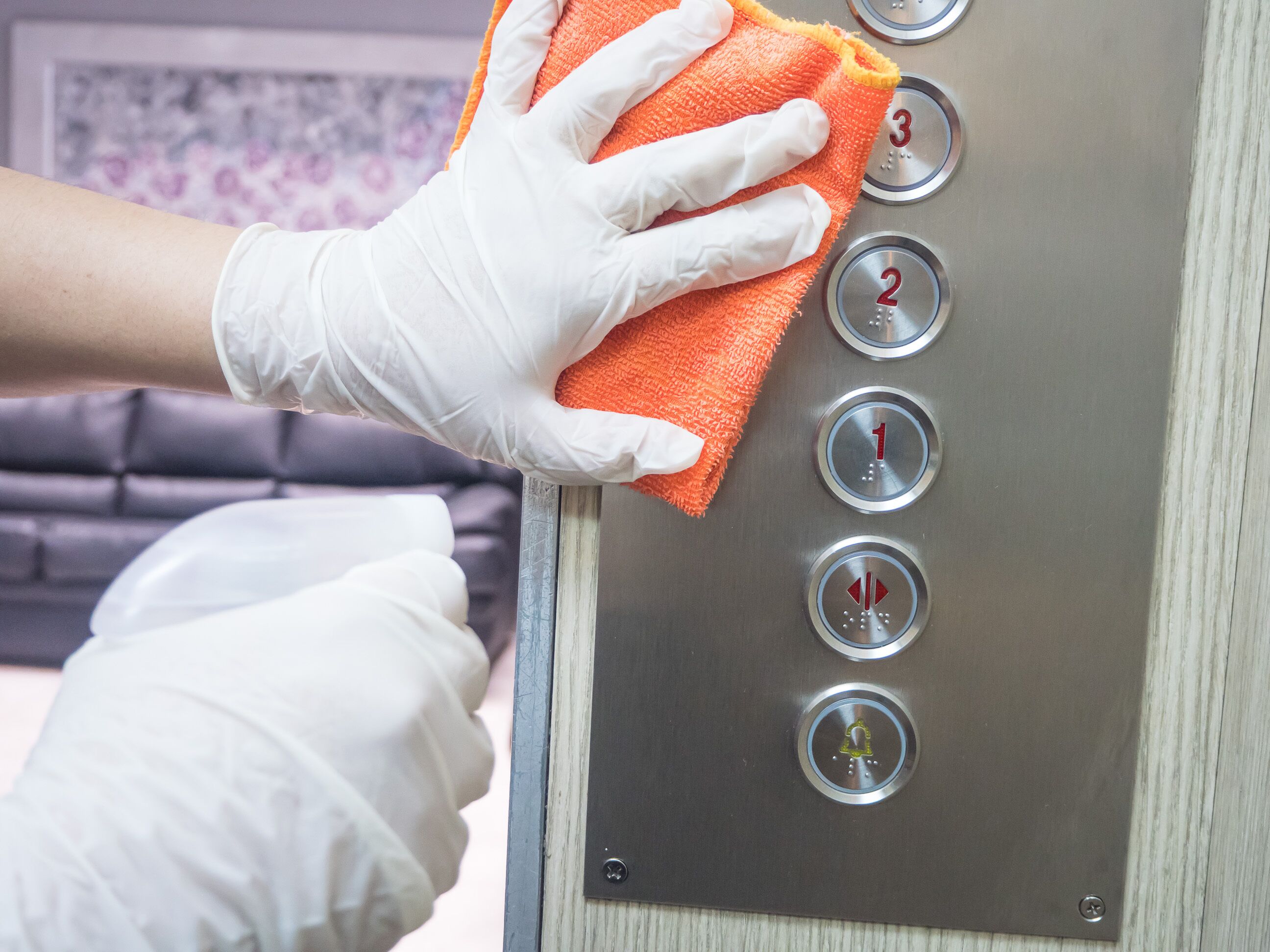 Foto - Hotel Qualitel Plus