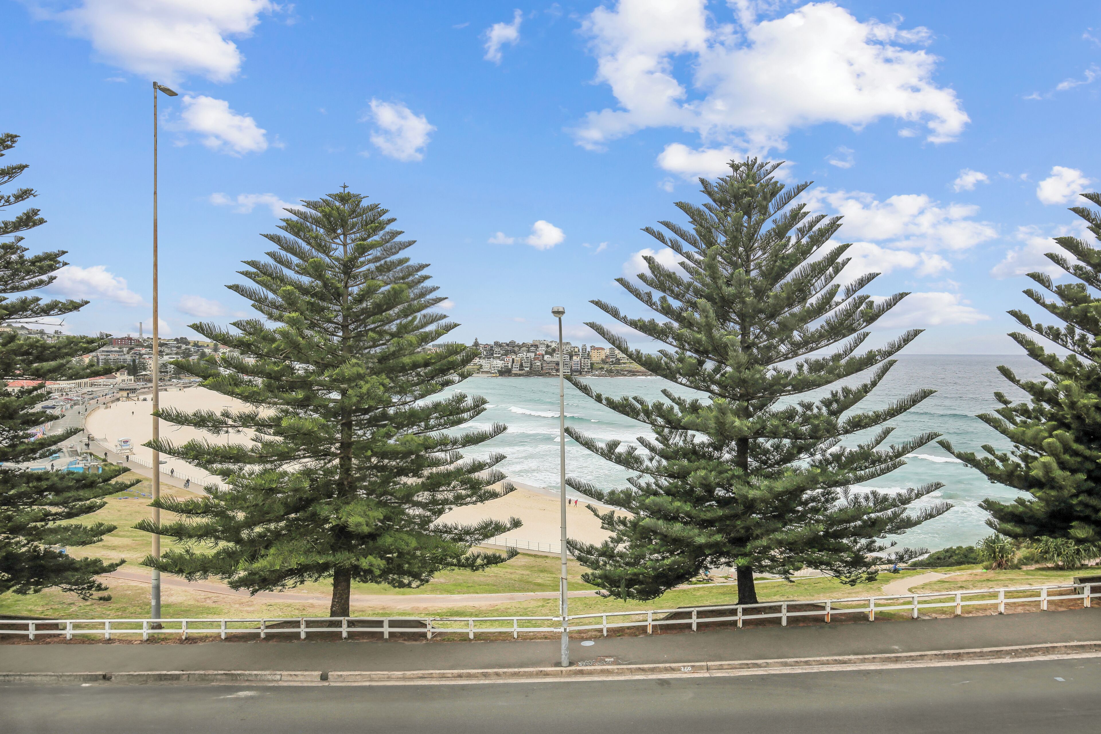 A coastal view with a beach, trees, and a road.