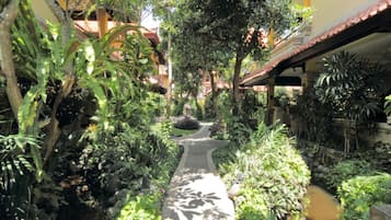 Vista desde la habitación