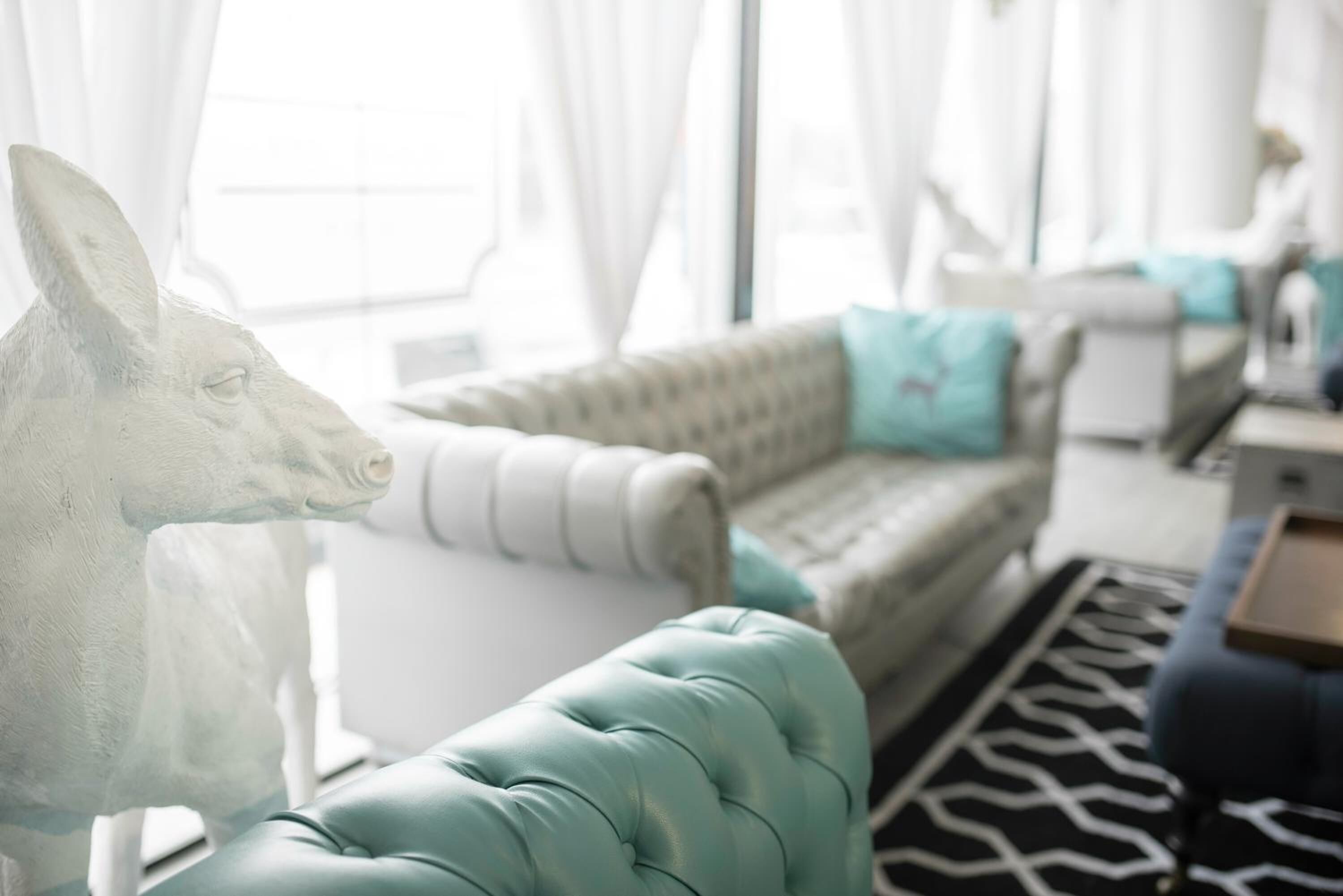 A living room with a sofa, a decorative kangaroo head sculpture, and a patterned rug.