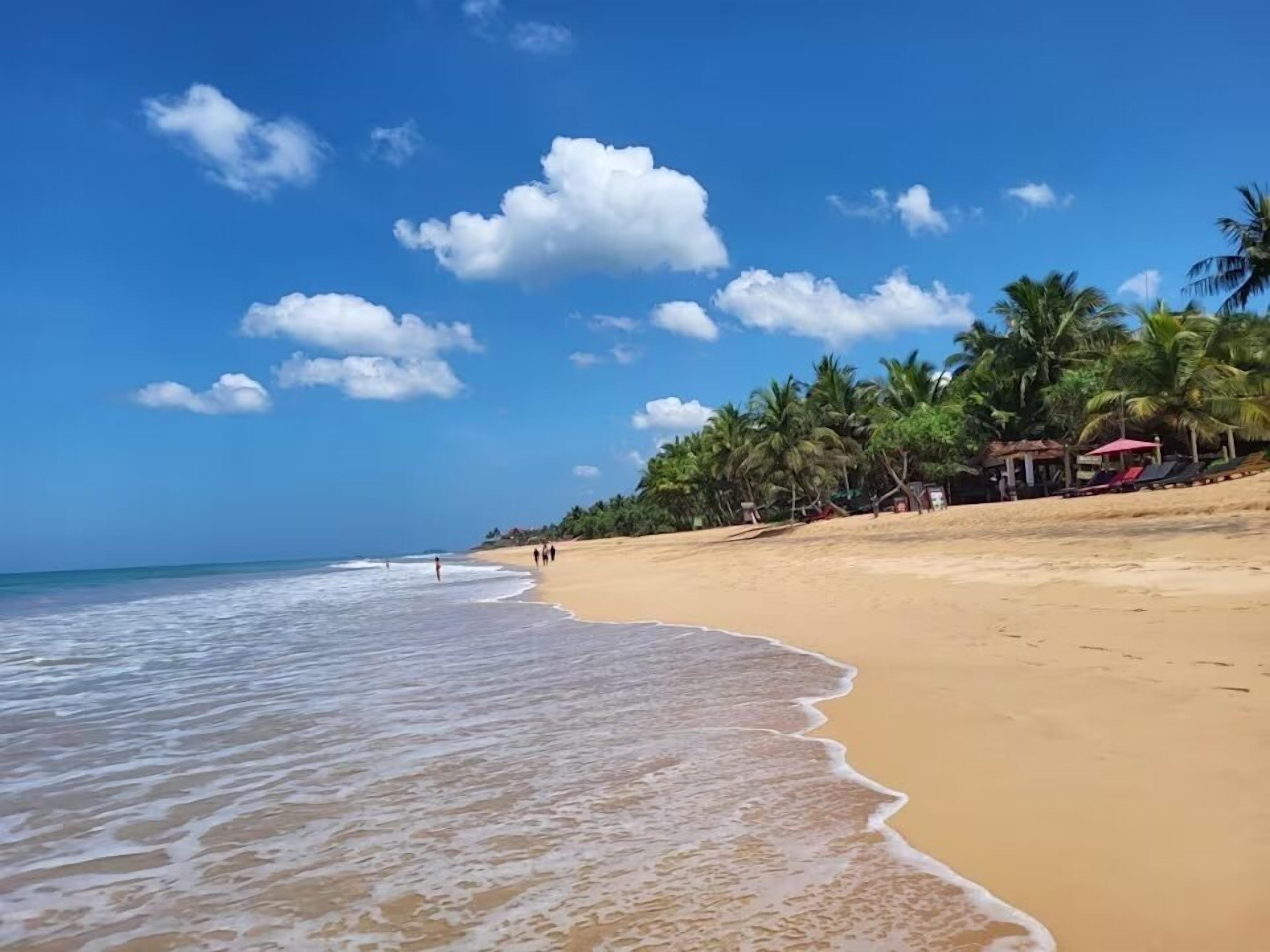 A beach with a sandy shore, palm trees, and a few people walking.