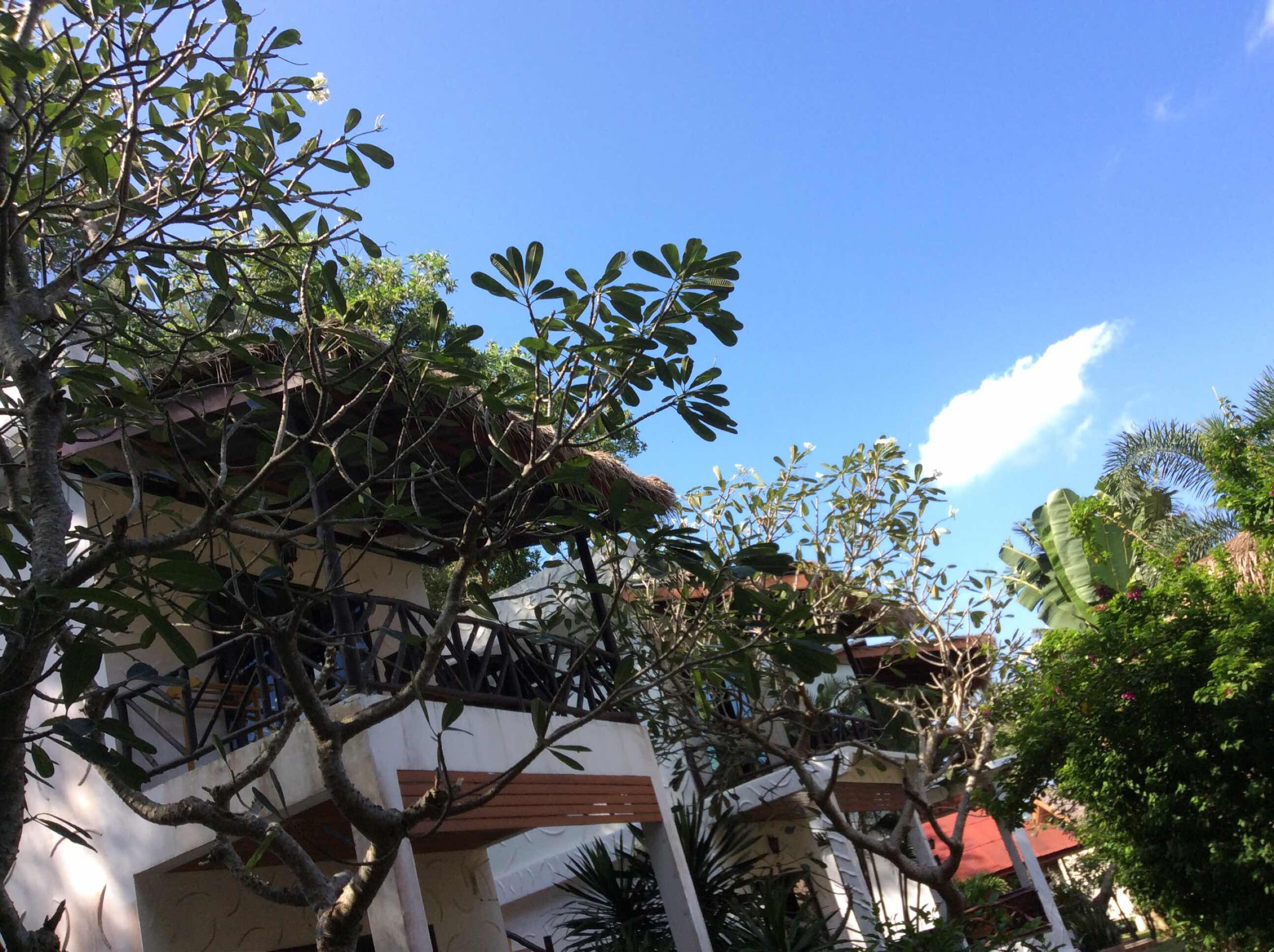 Foto - Bow Thong Beach Resort