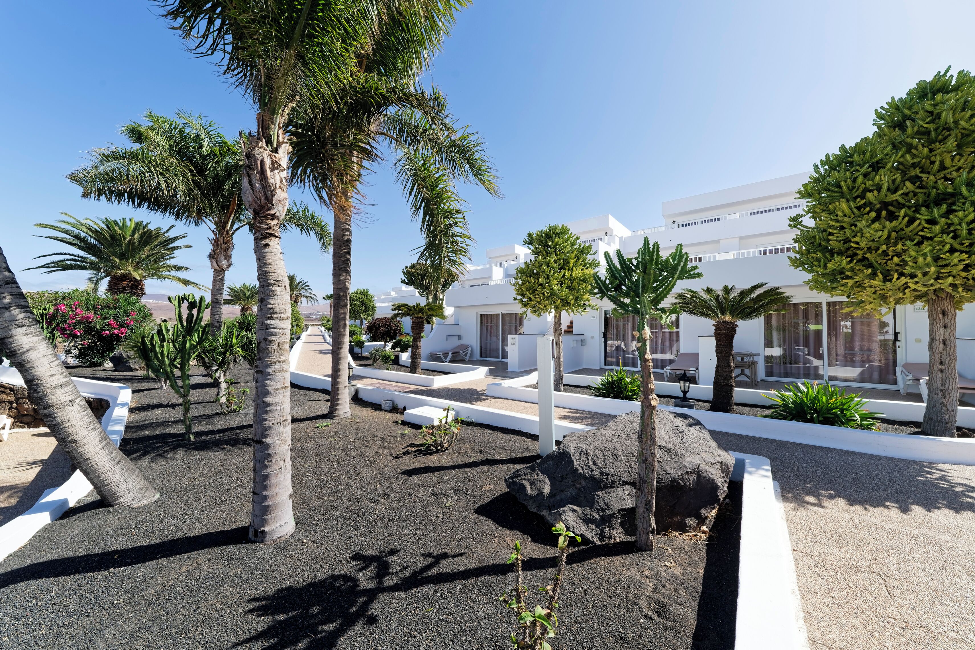 A landscaped outdoor area with palm trees, a rock feature, and a white building with a modern design.