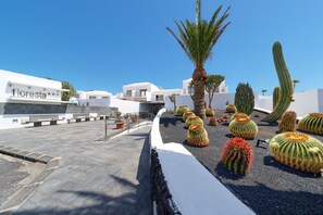 A courtyard with white buildings, a palm tree, and various cacti. - Hotel Floresta (Tías)
