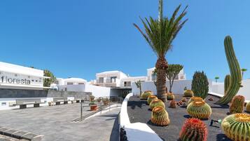 A rooftop garden with cacti and a palm tree, white buildings, and a sign reading 'floresta'.