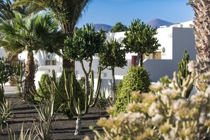 Jardin