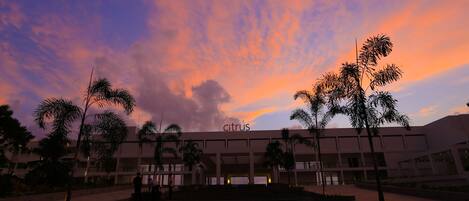 A building with the name "citrus" at the top, surrounded by palm trees and a staircase leading up to the entrance.