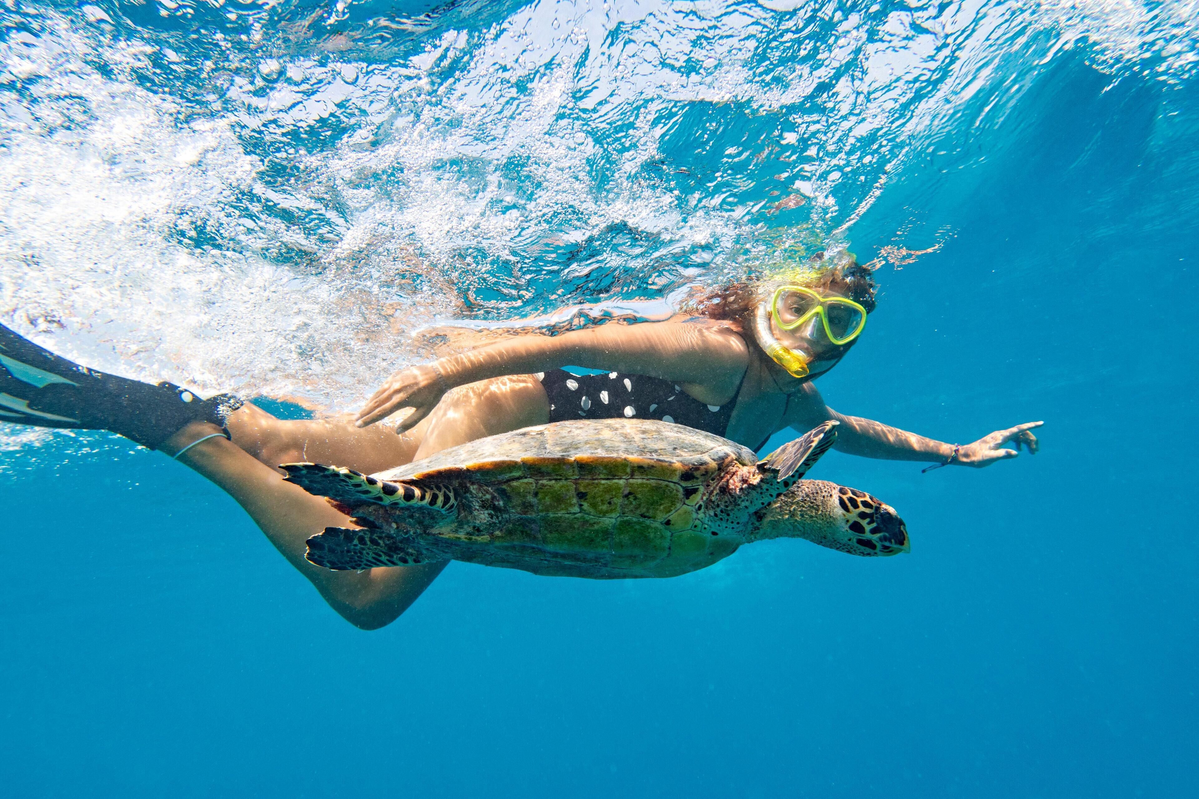 A person swimming with a sea turtle.