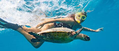 A person swimming with a sea turtle.