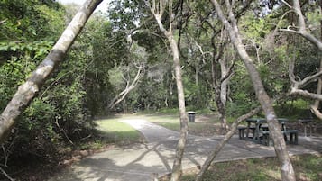 BBQ/picnic area