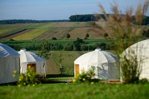 Yurts in a grassy field with a clear sky.