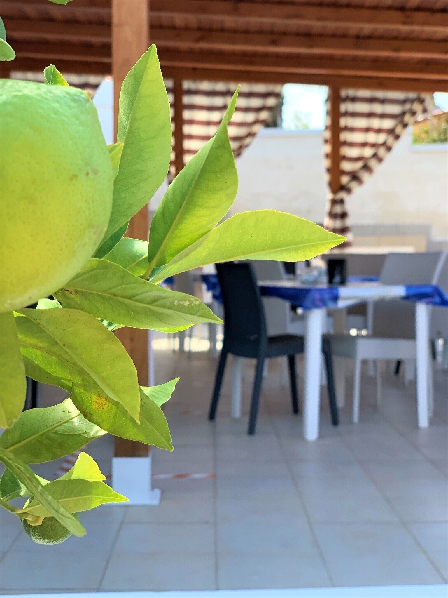 Desayuno buffet incluido todos los días