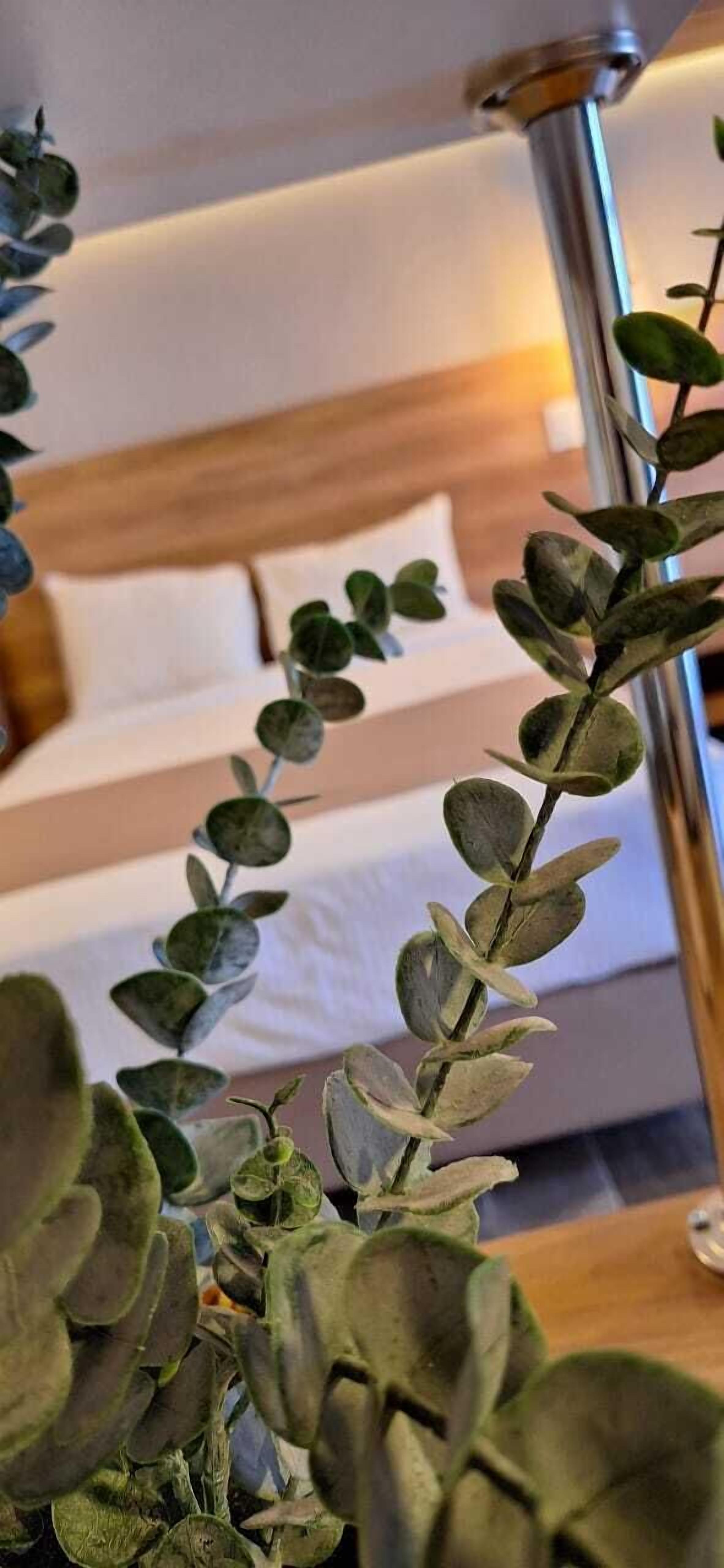 Foto - La Posada Hotel y Suites