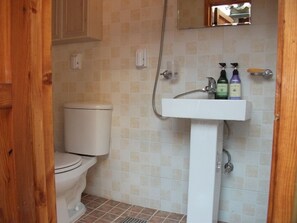 A bathroom with a toilet, a sink, and a shower.