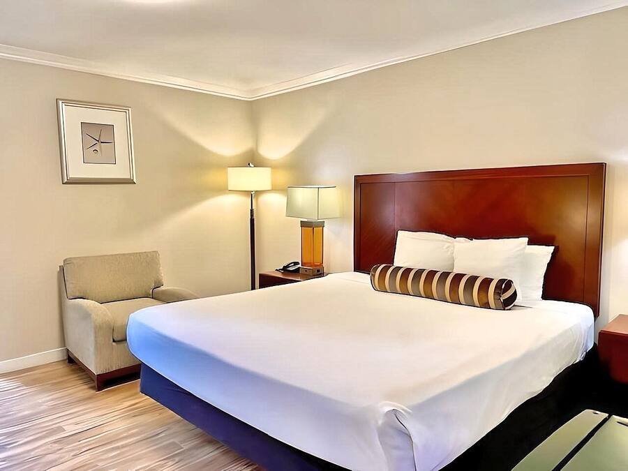 Habitación estándar, 1 cama de matrimonio grande | Servicio de la habitación