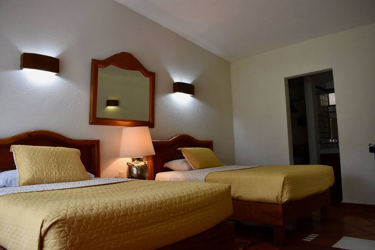 Habitación de hotel con dos camas, cabecera de madera, un espejo y una mesita de noche con lámpara.