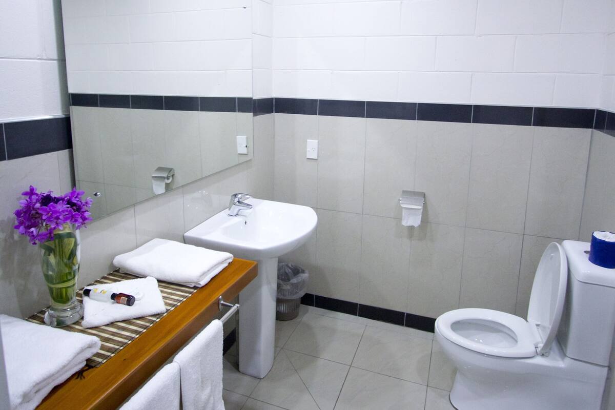 shower, free toiletries, hair dryer, towels