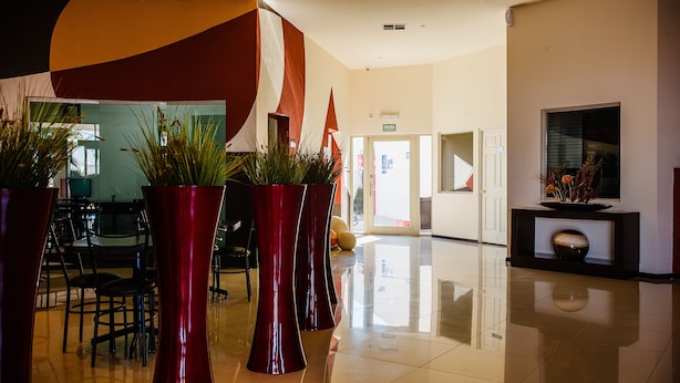 A spacious lobby with a modern design, featuring a reception desk, seating area, and decorative plants in large vases. - American Inn Hotel & Suites Delicias (Delicias)
