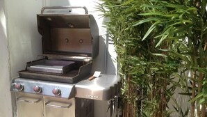 Ein tragbarer Genstar-Grill mit flacher Grillfläche und Seitenbrenner, neben einem Blumentopf platziert.