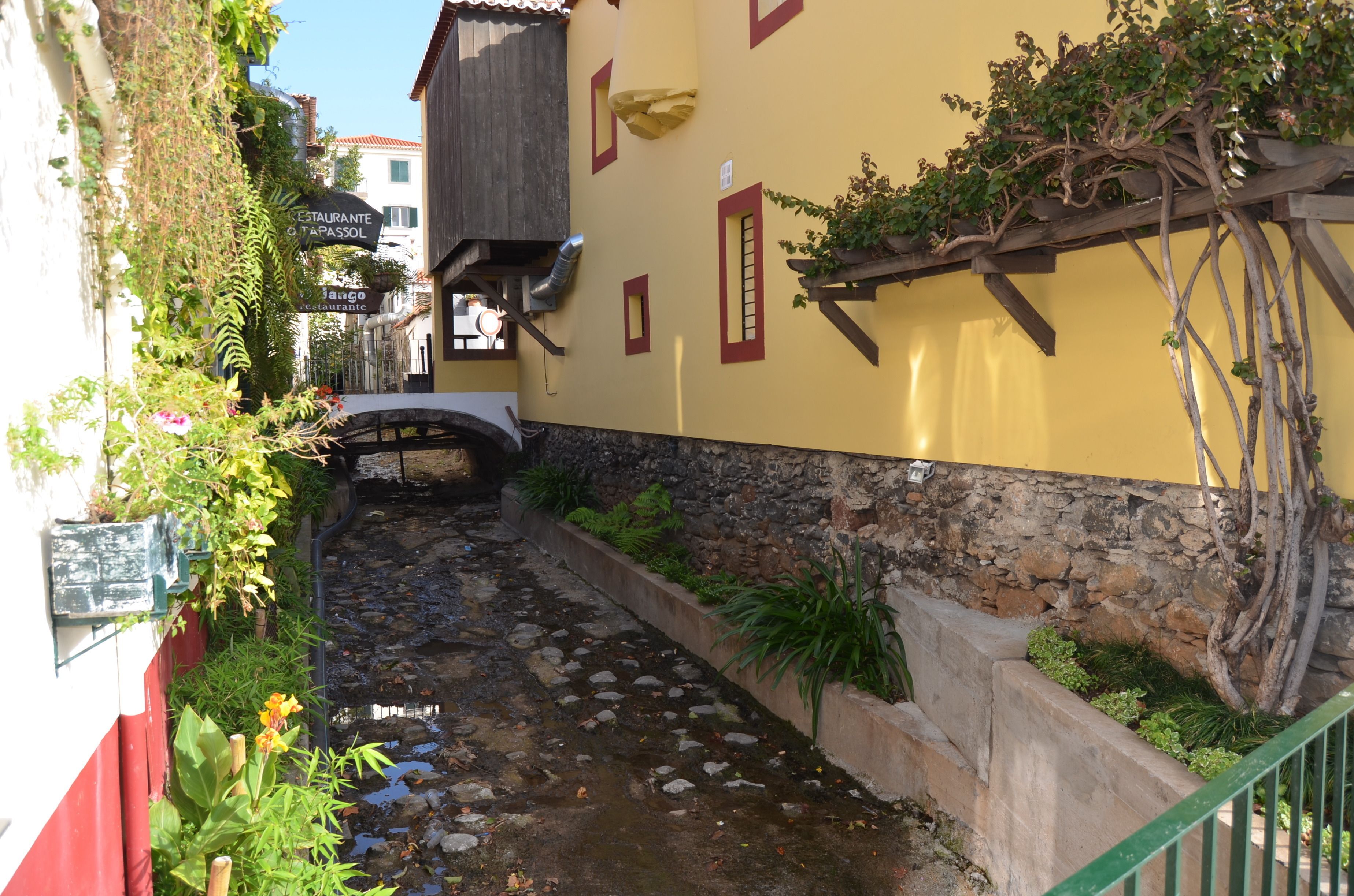 Vista da propriedade