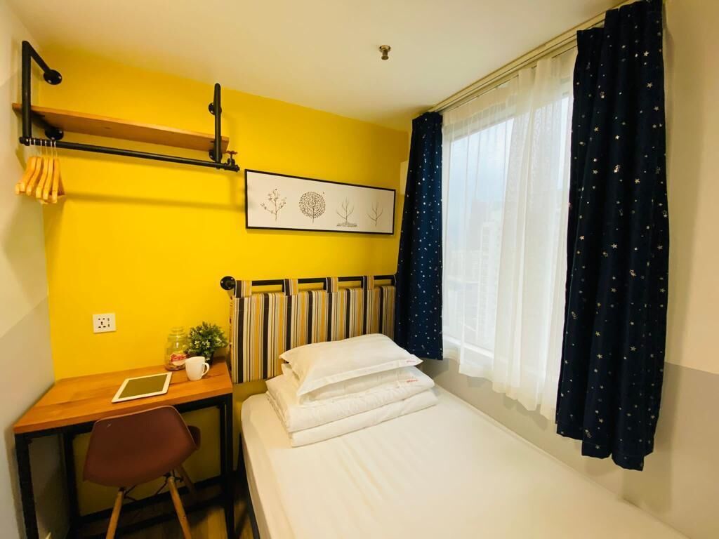 A hotel room with a bed, a desk with a chair, a radiator, a window with curtains, and a wall-mounted shelf with a plant.