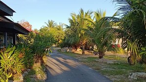 A narrow road flanked by lush greenery and palm trees, leading to a building with a red roof. - Idaman Guesthouse (Langkawi)