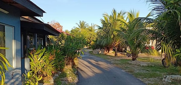 A narrow road flanked by lush greenery and palm trees, leading to a building with a red roof.