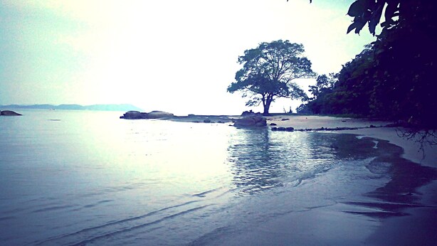 A calm beach with a single tree in the center, surrounded by calm water and distant hills. - Idaman Guesthouse (Langkawi)