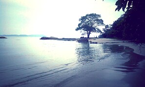 Une plage paisible avec un seul arbre au centre, entourée d’une eau calme et de collines lointaines.