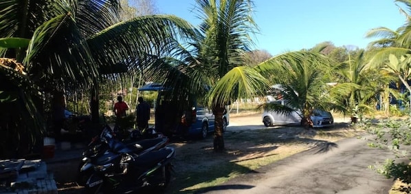 Jardim