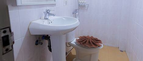 A bathroom with a white sink, a toilet, and a shower.