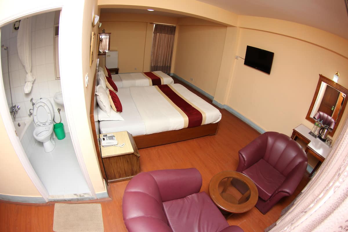 Minibar, desk, free WiFi
