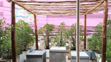 Terraza o patio