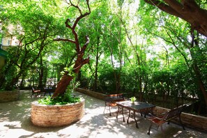 Garden - Calypzo Bangkok (Bangkok)